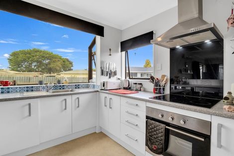 Photo of property in 19a Victoria Street, Levin, 5510