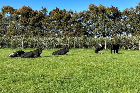 Photo of property in 30 Frazer Road, Tuturau, Mataura, 9774