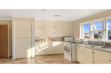 Photo of property in 17 Middlesex Street, Levin, 5510