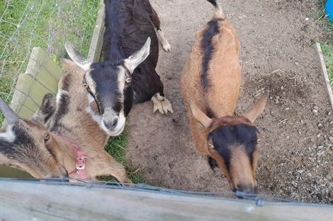 Photo of property in 7 James Road, Maungaturoto, 0587