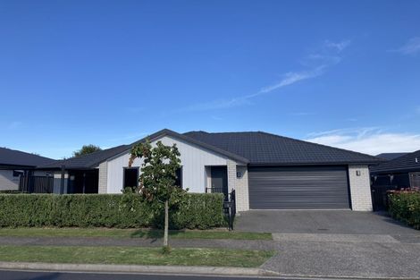 Photo of property in 11 Muddle Lane, Pyes Pa, Tauranga, 3112