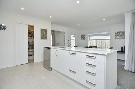 Photo of property in 3 Mcquillan Avenue, Woodend, 7610