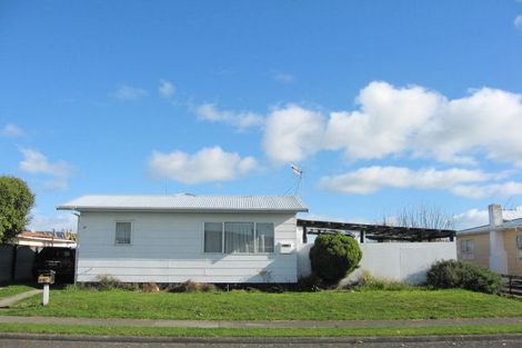 Photo of property in 28 Stirling Street, Levin, 5510