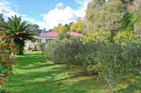 Photo of property in 704 State Highway 1, Wellsford, 0975