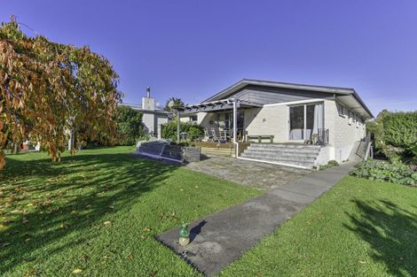 Photo of property in 31 Tanner Street, Havelock North, 4130