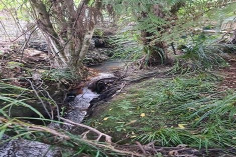 Photo of property in 250a Beach Road, Campbells Bay, Auckland, 0630