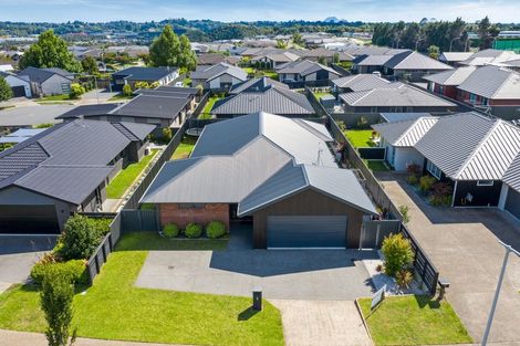 Photo of property in 8 Turnbridge Street, Pyes Pa, Tauranga, 3112