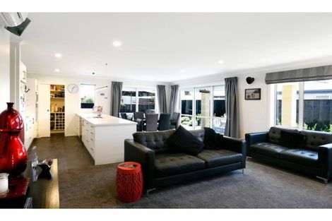 Photo of property in 8 Carmello Grove, Richmond, 7020