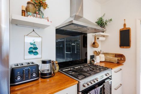 Photo of property in 59 Limbrick Street, Terrace End, Palmerston North, 4410