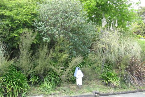 Photo of property in 26 Orakei Street, Tahunanui, Nelson, 7011