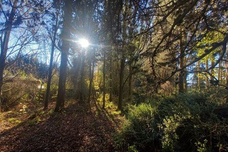 Photo of property in 3 Sim Road, Pukemaori, Otautau, 9682