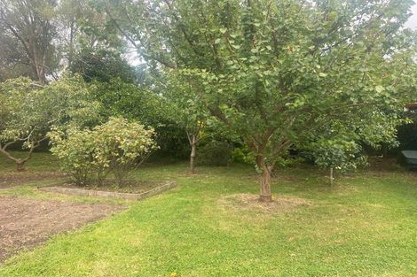 Photo of property in 45 Alfred Street, Roslyn, Palmerston North, 4414