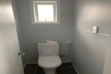 Photo of property in 60 Webster Avenue, Mount Roskill, Auckland, 1041