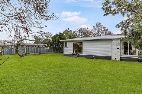 Photo of property in 20 Pinedale Place, Henderson, Auckland, 0610