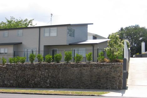 Photo of property in 20a Rowan Road, Epsom, Auckland, 1023