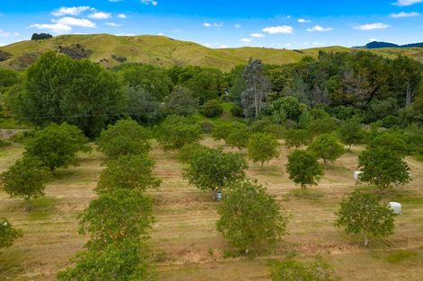 Photo of property in 195 Tyntesfield Road, Waihopai Valley, Blenheim, 7276