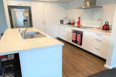 Photo of property in 36c Eton Street, Hampstead, Ashburton, 7700