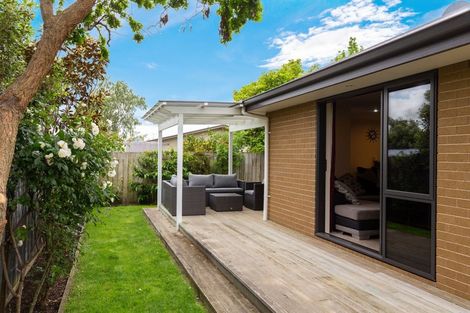 Photo of property in 146 Redwood Street, Redwoodtown, Blenheim, 7201