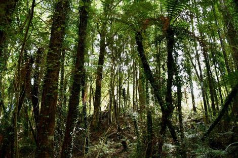 Photo of property in 70 Sunset Heights Road, Karamea, 7893