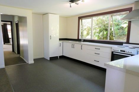 Photo of property in 1 Taupo Terrace, Dobson, Greymouth, 7805
