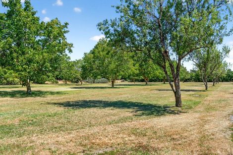 Photo of property in 277 Upper Plain Road, Upper Plain, Masterton, 5888