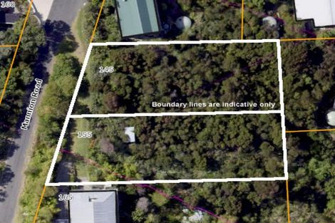 Photo of property in 145 Mannion Road, Wyuna Bay, Coromandel, 3581