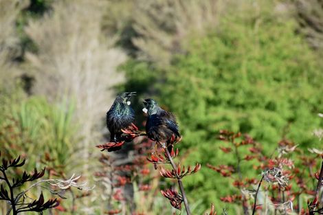 Photo of property in 735 Maratoto Road, Hikutaia, Paeroa, 3674