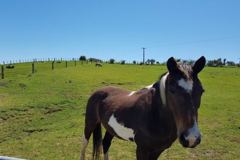 Photo of property in 45 Mclean Road, Waipu, 0582