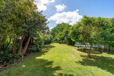 Photo of property in 44 Waingaro Road, Ngaruawahia, 3720