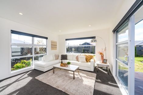 Photo of property in 175 Pacific Drive, Fitzherbert, Palmerston North, 4410