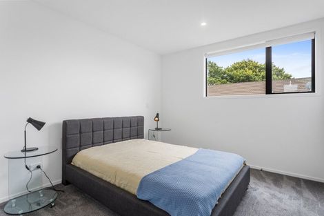 Photo of property in 29 Bings Lane, Richmond, Christchurch, 8013