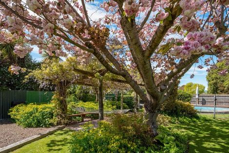 Photo of property in 23 Ward Street, Springlands, Blenheim, 7201