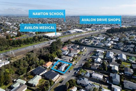 Photo of property in 161 Rimu Street, Maeroa, Hamilton, 3200