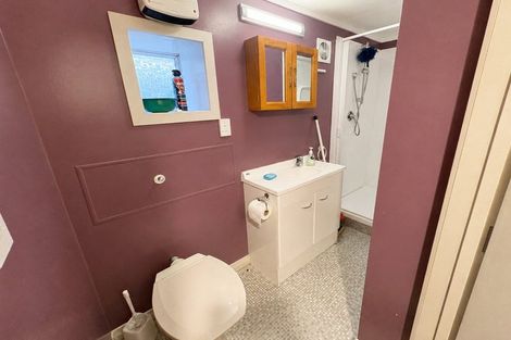 Photo of property in 5 Grant Street, Dunedin Central, Dunedin, 9016