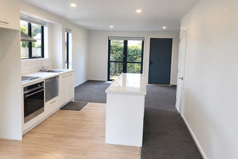 Photo of property in 12/14 Buffon Street, Waltham, Christchurch, 8023