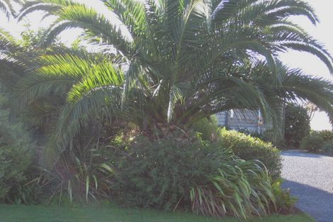 Photo of property in 14 Westpark Glen, Warkworth, 0910