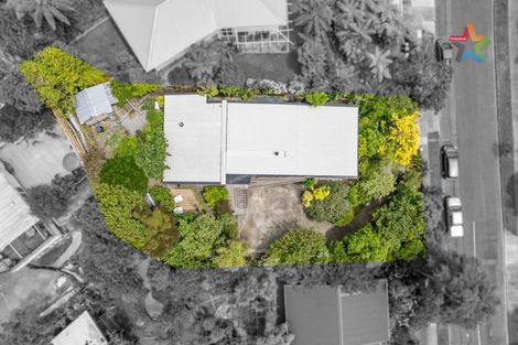 Photo of property in 15 Cleary Street, Waterloo, Lower Hutt, 5011