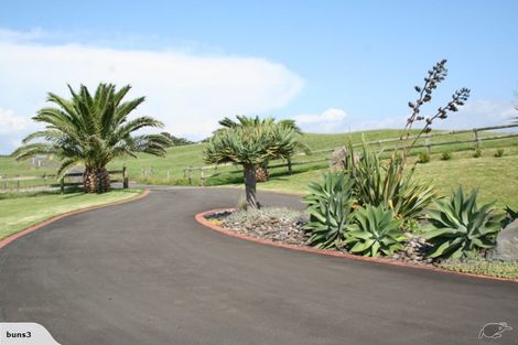 Photo of property in 64 Johnson Road, Mimi, Urenui, 4377