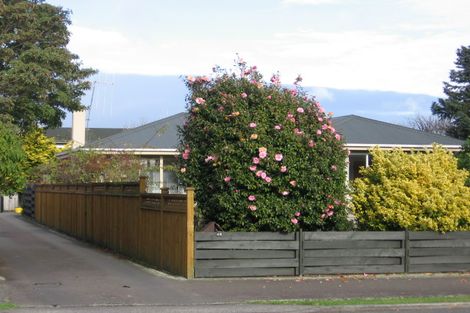 Photo of property in 44b Manson Street, Terrace End, Palmerston North, 4410