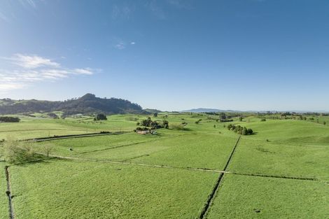 Photo of property in 221 Hiwi Road, Tauwhare, Hamilton, 3287