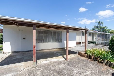 Photo of property in 11 Mcclean Place, Ngatea, 3503