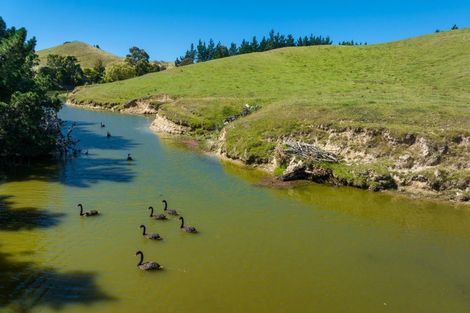 Photo of property in 363 Caseys Road, Lake Grassmere, Seddon, 7285