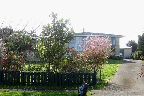 Photo of property in 38 Ihaia Street, Waitara, 4320