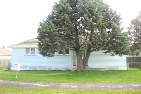 Photo of property in 19 Douglas Crescent, Fairfield, Hamilton, 3214