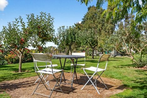 Photo of property in 41 Oxford Street, Martinborough, 5711