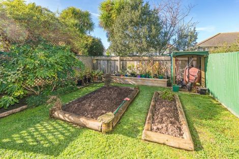 Photo of property in 172 Paterson Street, Aramoho, Whanganui, 4500