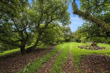 Photo of property in 161 Newton Road, Maungatapere, Whangarei, 0170