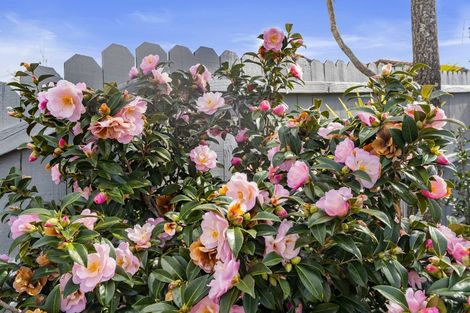 Photo of property in 108 Lakeside Drive, Orewa, 0931
