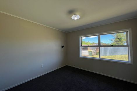 Photo of property in 20 Fernleigh Street, Chartwell, Hamilton, 3210