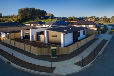 Photo of property in 41 Cyrus Street, Whalers Gate, New Plymouth, 4310